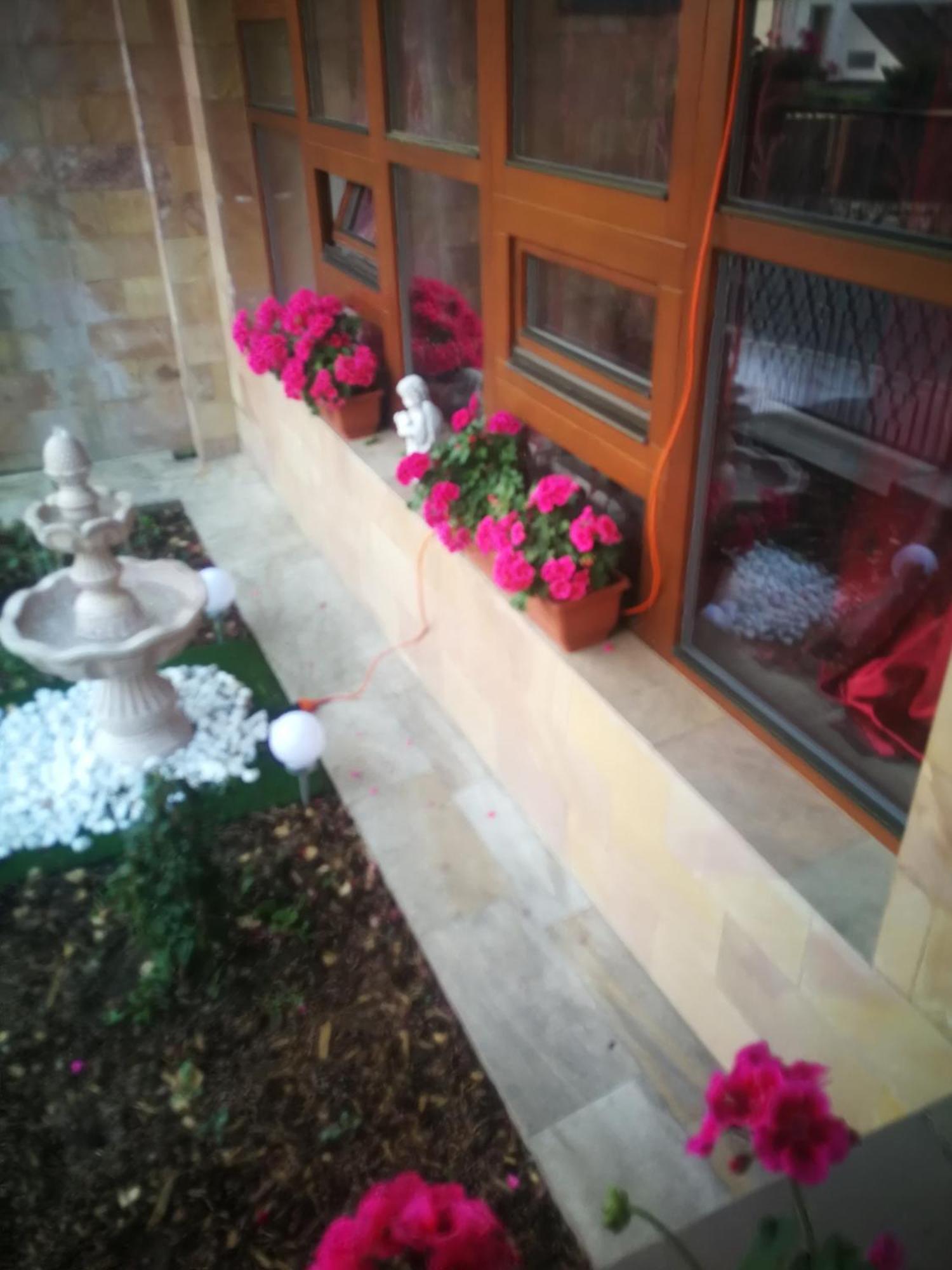 פראג Villa Barrandov Pokoj 3 מראה חיצוני תמונה